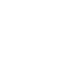 White-Labeled Execution