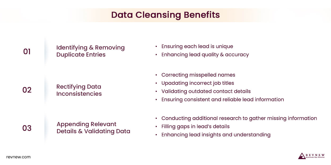 An Illustration of Data Cleansing in a B2B Company