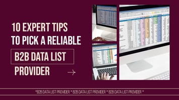 Buying B2B Data Lists: How to Choose A Reliable Vendor 