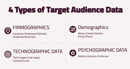 4 Types of Target Audience Data
