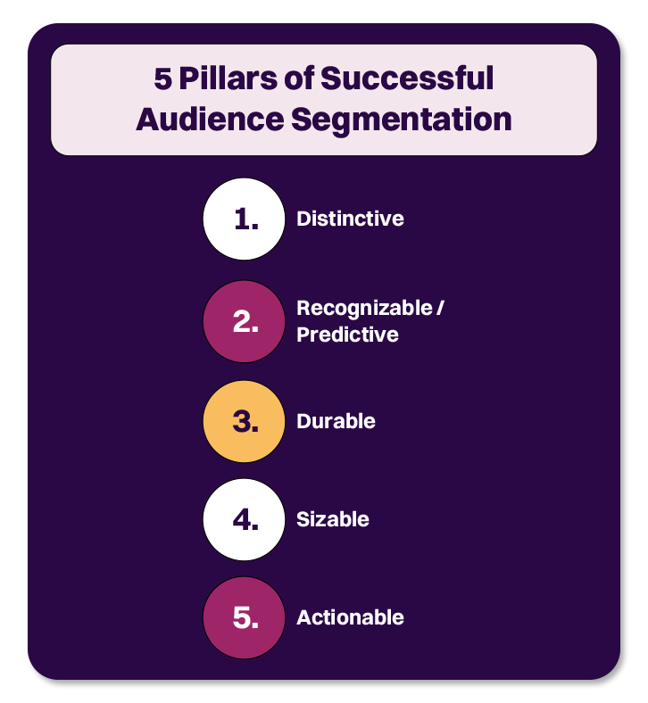 what is audience segmentation
