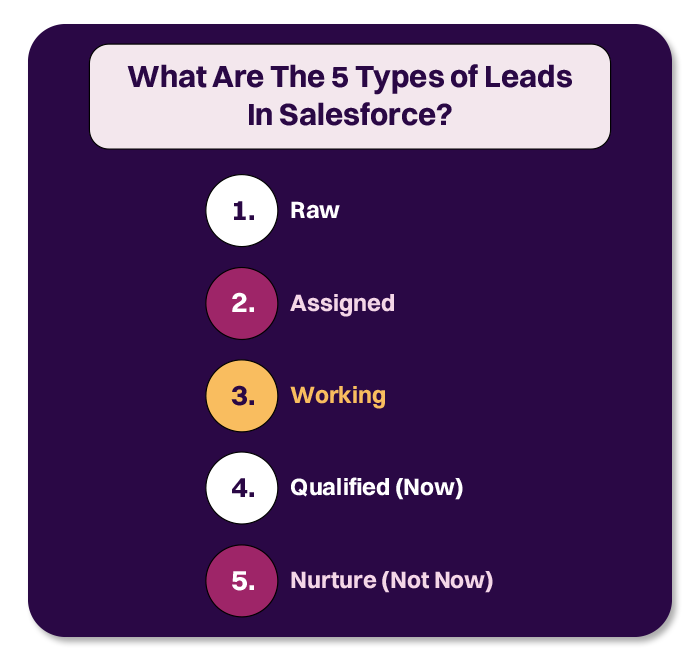 types of leads in salesforce