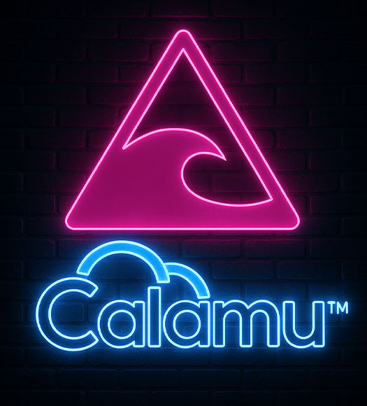 How Calamu Found Success in Lead Generation with Revnew