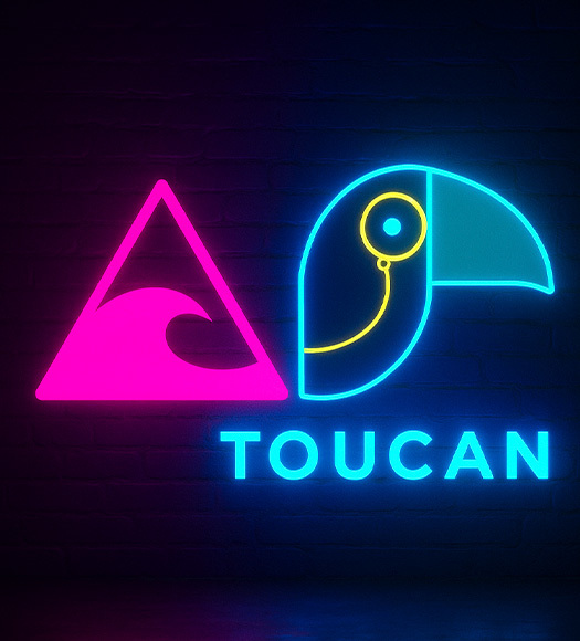 How Toucan Toco Launched Full-Fledged Campaign in Two Weeks